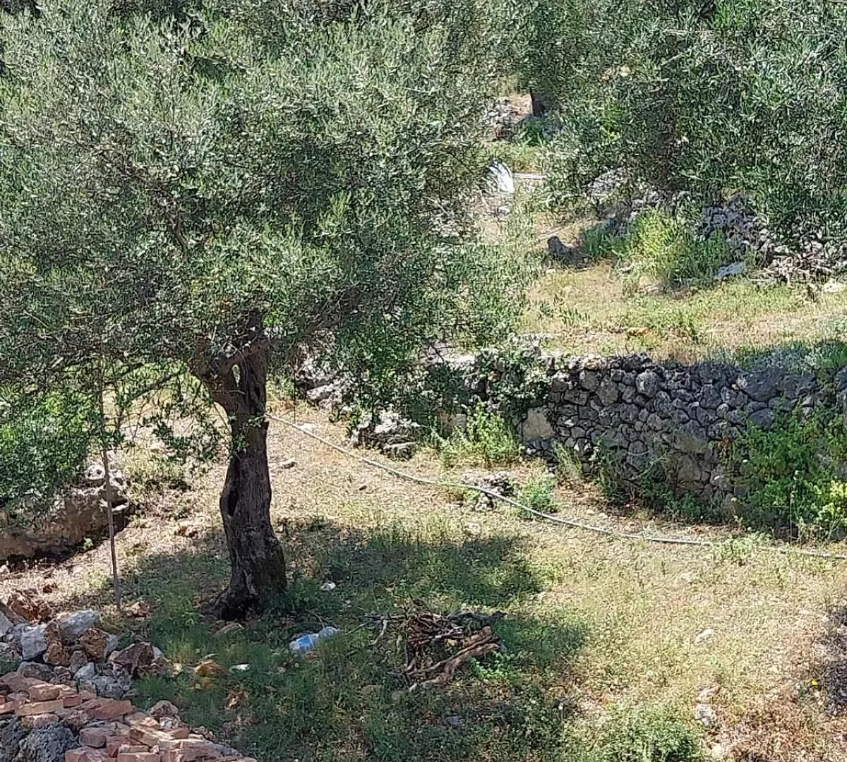Lions Lair Hotel Himare