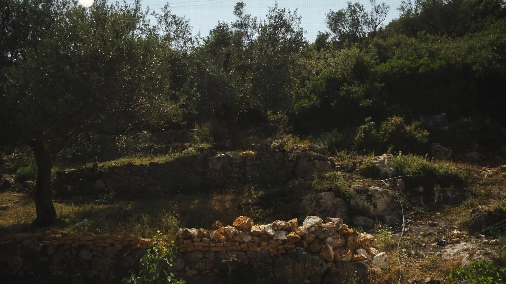 Lions Lair Hotel Himare Albânia